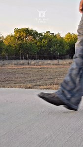 A Closer Look At Our Orix Two-Tone Caiman Neck Boots For ONLY $139!!🐊Available EXCLUSIVELY At TEXASBOOTRANCH.NET | Texas Boot Ranch