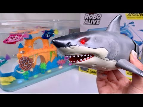 [🐰toy asmr🐰] Zuru Robo Alive White Shark & Aquarium Playset ASMR Satisfying with Unboxing Review Toy