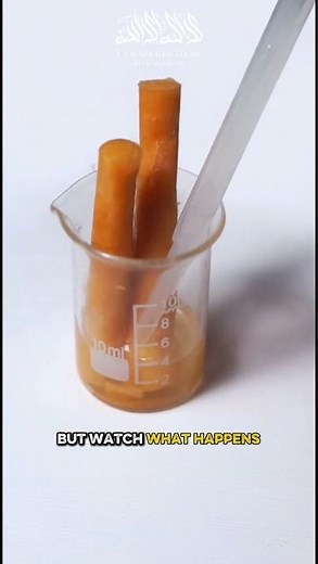 Miswak Under the Microscope | Does It Affect Bacteria? #Experiment #Microscope #Bacteria #education