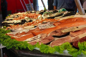 Not Enough Being Done to Boost Blue Bio Economy | Fish Focus