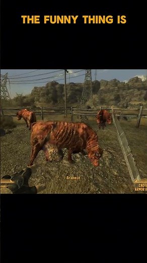 This Mod Adds New Flare To The Knives Of FNV