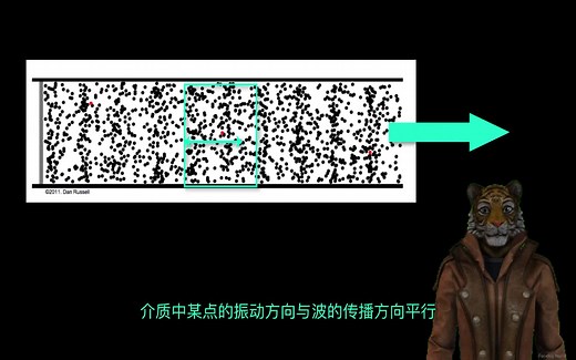IGCSE物理 33 横波和纵波 Transverse wave and longitudinal wave I