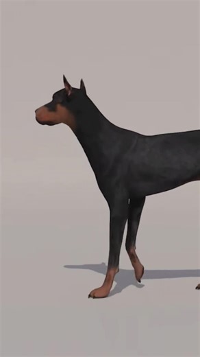 dog walk #animation #3danimation #dog #dogwalk #dogshort
