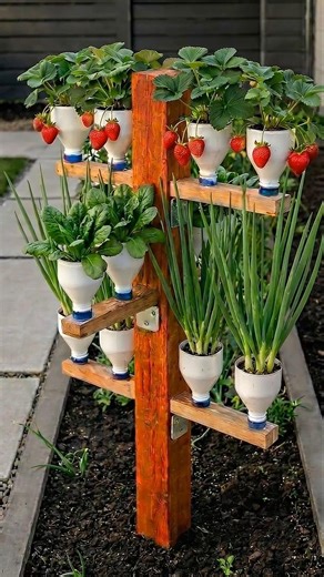 DIY 3 tier , 12 bottles, Ultimate space saving Vertical Garden #diy #upcycling