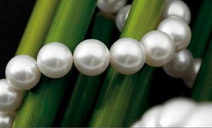 241K views · 2.9K reactions | Old School AKA Step Team from Southern University at STOMP '94 | Step Master 'J' | Facebook