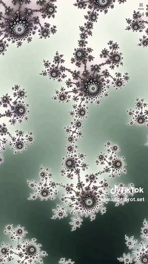 Exploring the Infinite Beauty of the Mandelbrot Set