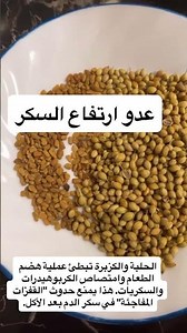 It slows down food digestion and the absorption of carbohydrates and sugars.