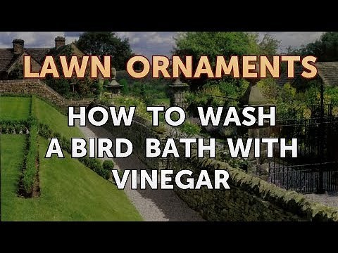 How to Wash a Bird Bath With Vinegar