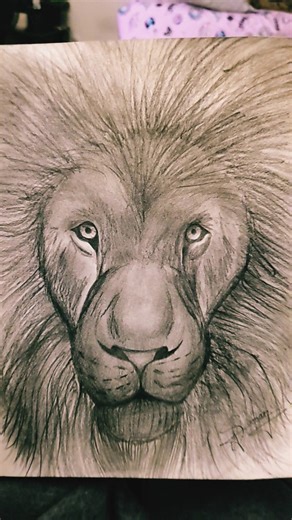 Sketch of a Lion 🦁 ✨️ #art #artdrawing #drawing #sketch #sketchdrawing #roar