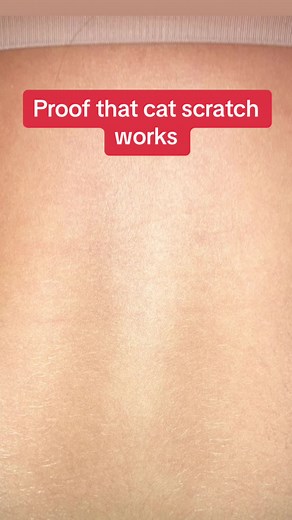 Creepy Cat Scratch Game: Haunted TikTok Horror