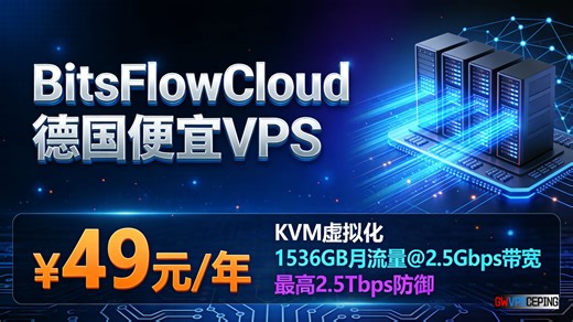 BitsFlowCloud德国便宜VPS：¥49元/年KVM虚拟化，1536GB月流量@2.5Gbps带宽 最高2.5Tbps防御