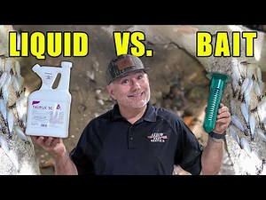 Termite Bait vs Liquid: What Works Best?