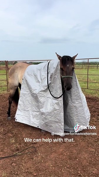 Nolan Ranch on TikTok