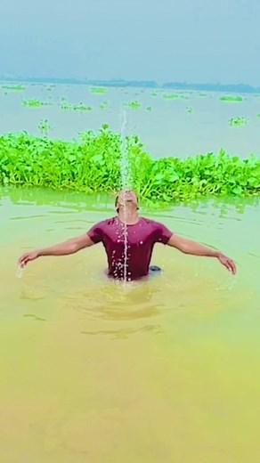 Swimming in Nature's Serenity: A Lush Water Body Adventure