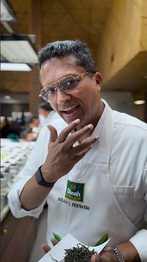 Where Great Tea Begins | Inside the Dilmah Tea Room