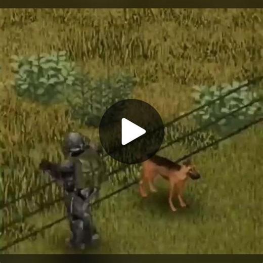 Fallout #fallout #game #dog #meme #fyp