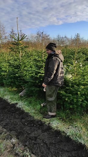 unu și bun🤣🤣😎 TikTok