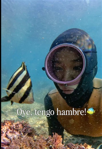Oye, tengo hambre! 🐠💬 Esto fue lo que me dijo un pequeño amigo bajo el mar. Nunca imaginé tener un 'Buddy' de buceo tan exigente… ¡pero tan adorable! 😂 Quieren saber qué pasó después? Miren el video! Alguna vez un animal les ha hablado así? 🌊💙 #coreano #haenyeo