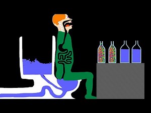 【Algodoo】Toilet while eating cereal at night. 夜にシリアルを食べながらトイレをする人