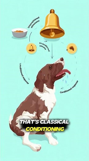 Pavlov’s Dogs: Why You’re Conditioned to Crave Snacks