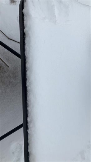 ✝️Zayda✝️ (@zayda.williams)’s videos with original sound - ame