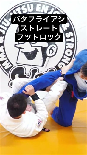 [BJJ] Straight Foot Lock from Butterfly Guard