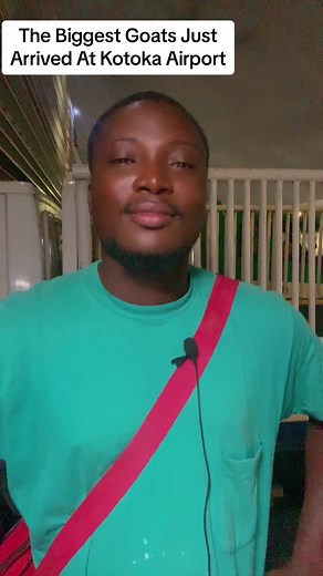 66K views · 655 reactions | Revolutionalizing Goat Farming In Africa. Get in touch with us for more information.#farminginafrica #farming #ghanatiktok #semanhyiagrass #livestock #goatfarming #innovativefarmers #cattlefarming #livestock #fyp | Farming In Africa | Facebook