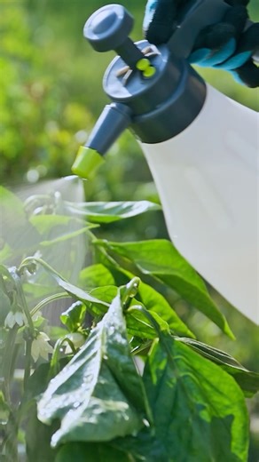 2.9K views · 54 reactions | When to use herbicides? | Backyard Farmer | Facebook