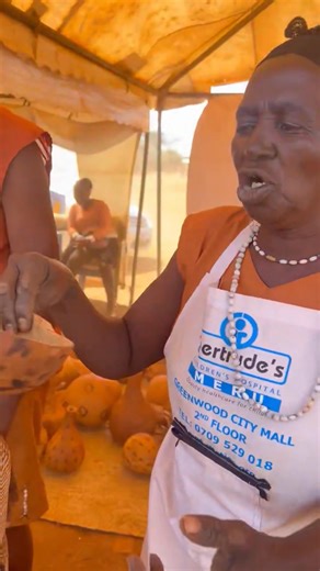 Ura Gate Cultural Festival is held in Tharaka-Nithi County Shauri Tourism Market Grounds Makutano area of eastern Kenya. The festival brings together different tribes, with participan showcasing colorful dances in traditional attire accompanied by musically dances songs custom heritages Drum Celebrations Ceremony Colorful Extol Vibrant Peoples Conservation Meru National Park Utalii Wetu Urithi Wetu #Uragate #uragatetharakaculturalfestival #uragatefestival #uragateculturalfestival #Tharakanithi #