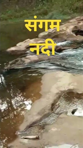 sangam nadi#music #duet 🌿🌿🌿🎋🎋🎋