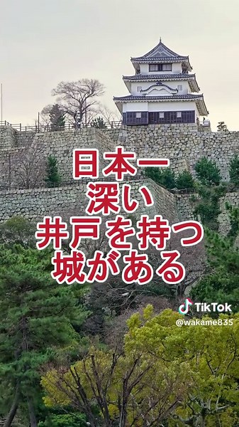 都道府県を当ててください。#クイズ #雑学 #shorts