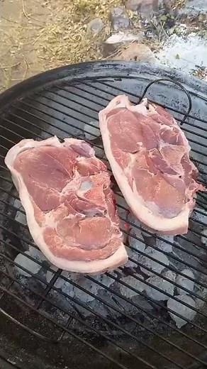 How to Make Really good BBQ/Braai pork chops!