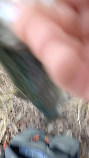 Vidéos de dj durite (@dj.durite) avec son original - dj durite