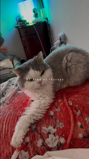 My Kind of Therapy