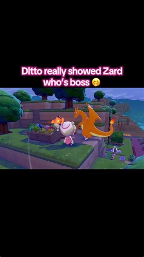 humbled zard real quick 🤭 #pokemon #pokopia #pokemongame #charizard #ditto