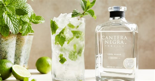 Infuse the fruity flavors of spring into your drinks with these cocktails