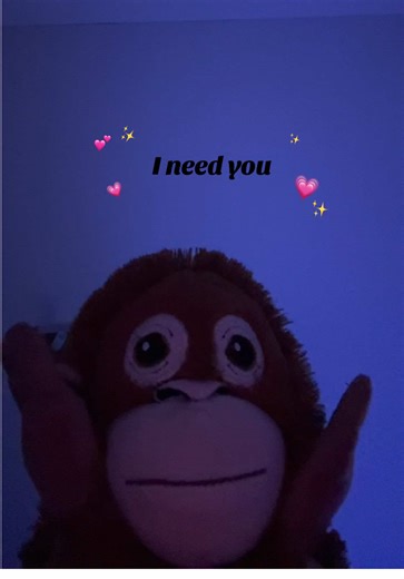 Ikea Monkey: A Heartfelt Tribute to Lost Companionship