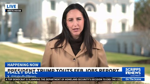 First full month of Trump administration maintained steady job growth, report shows