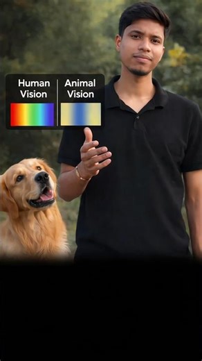 Animal vision Vs Human Vision