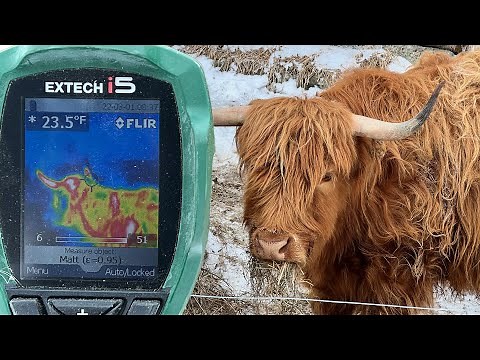 Using a thermal camera to check temperatures on the farm