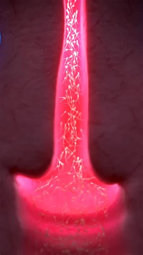 andropause, things you need to know #menopause #pcos #health #pcosproblems #magnesium