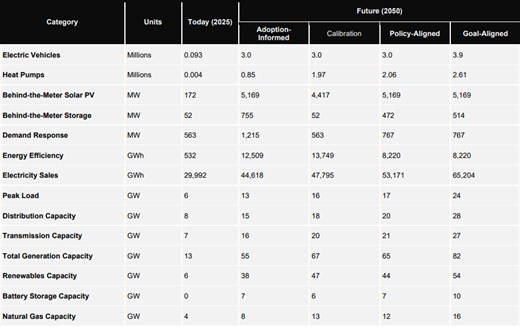Xcel picks aggregator DERMS amid power grid's 'critical inflection point'