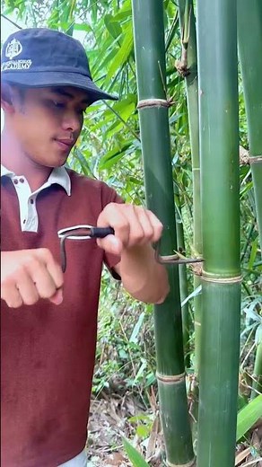 Survival Skills: How to Get Water from a BAMBOO Tree 💧💧#bamboo #survival #outdoor