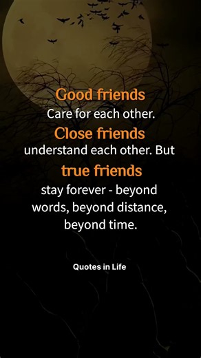 🤝 True Friends Stay Forever ❤️ | Beyond Distance, Time & Words ✨ #FriendshipQuotes #LifeQuotes