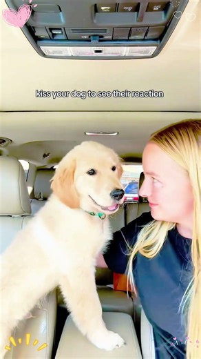 My Dog’s Love Is My Happy Place 🐶💞 #dog #love #pet #owner #fyp