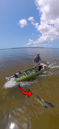 10K views · 104 reactions | New Kayak & Caught This! | Kayak DIY | Facebook