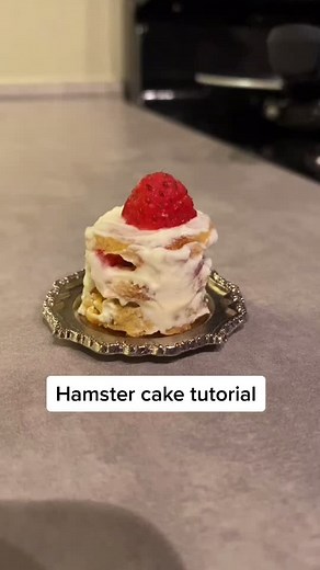 DIY Hamster Birthday Cake Tutorial