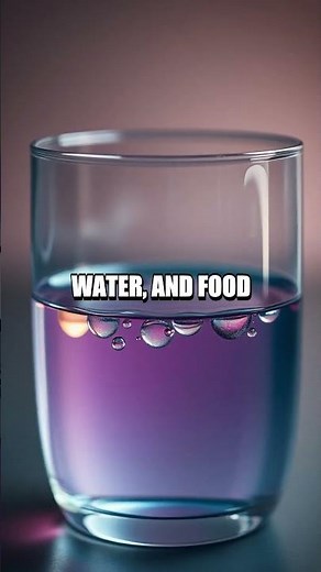 Whispers of Wonder Five Simple Experiments Explained