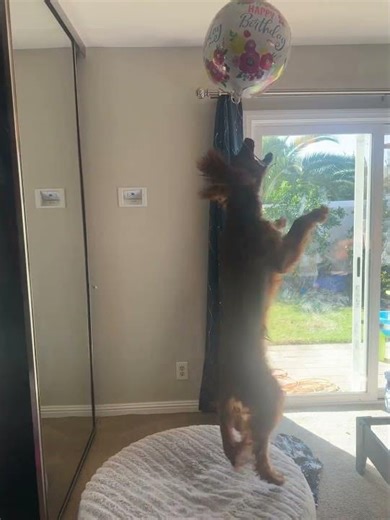 Pixton 2025 highlights!