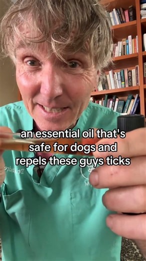 449K views · 8.4K reactions | Avoid toxic side effects- Best Natural Tick Repellent #ticks #chemicals #doghealth #essentialoil #homeremedies | Daily Pet Tips | Facebook